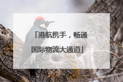 港航携手，畅通国际物流大通道