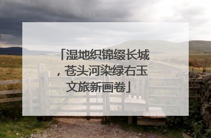 湿地织锦缀长城，苍头河染绿右玉文旅新画卷