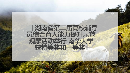 湖南省第二届高校辅导员综合育人能力提升示范观摩活动举行 南华大学获特等奖和一等奖