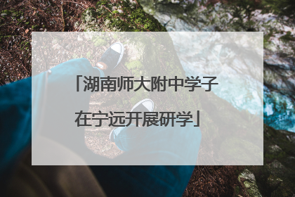湖南师大附中学子在宁远开展研学