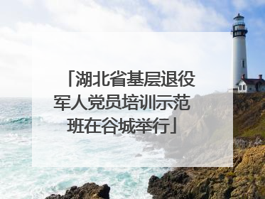 湖北省基层退役军人党员培训示范班在谷城举行