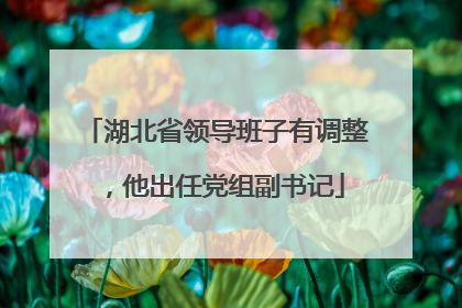 湖北省领导班子有调整，他出任党组副书记
