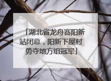 湖北省龙舟赛阳新站闭幕，阳新下屋村勇夺地方组冠军
