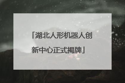 湖北人形机器人创新中心正式揭牌