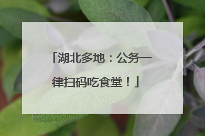 湖北多地：公务一律扫码吃食堂！