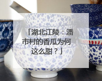 湖北江陵：潘市村的香瓜为何这么甜？