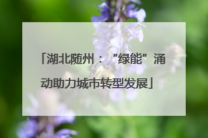湖北随州：“绿能”涌动助力城市转型发展