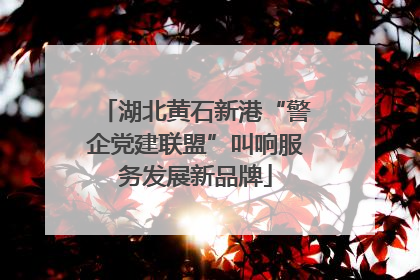 湖北黄石新港“警企党建联盟”叫响服务发展新品牌