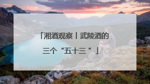 湘酒观察丨武陵酒的三个“五十三 ”