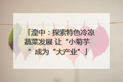 湟中：探索特色冷凉蔬菜发展 让“小菊芋”成为“大产业”