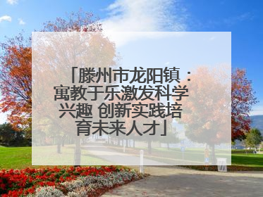 滕州市龙阳镇：寓教于乐激发科学兴趣 创新实践培育未来人才