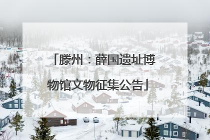 滕州：薛国遗址博物馆文物征集公告