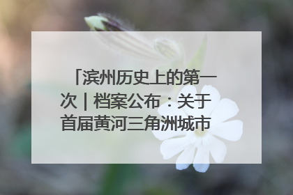 滨州历史上的第一次｜档案公布：关于首届黄河三角洲城市经济博览会暨发展论坛情况的总结报告