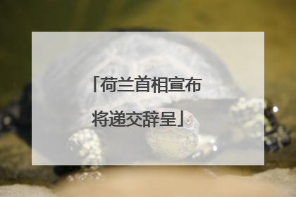 荷兰首相宣布将递交辞呈