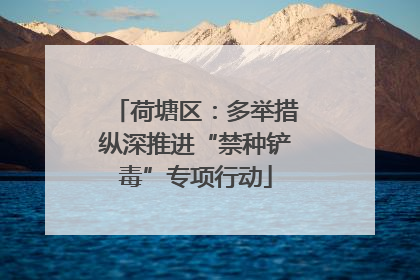 荷塘区：多举措纵深推进“禁种铲毒”专项行动