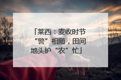 莱西：麦收时节“警”相随，田间地头护“农”忙
