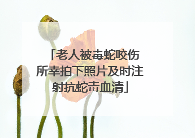 老人被毒蛇咬伤 所幸拍下照片及时注射抗蛇毒血清