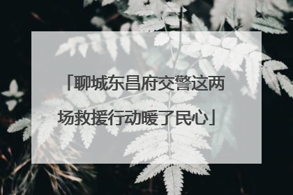聊城东昌府交警这两场救援行动暖了民心