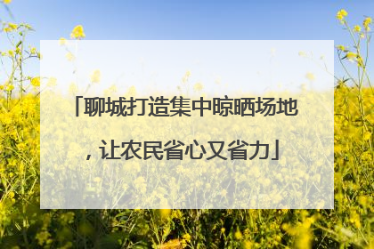 聊城打造集中晾晒场地，让农民省心又省力