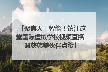 聚焦人工智能！镇江这堂国际虚拟学校视频直播课获韩美伙伴点赞
