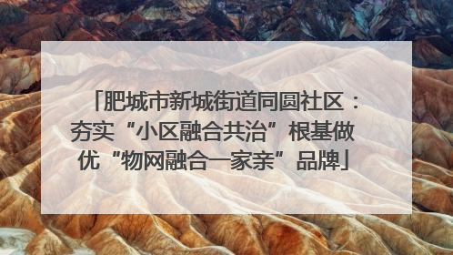 肥城市新城街道同圆社区：夯实“小区融合共治”根基做优“物网融合一家亲”品牌