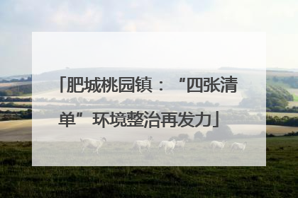 肥城桃园镇：“四张清单”环境整治再发力