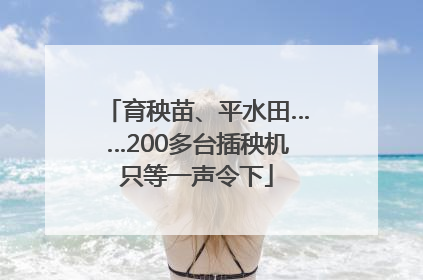 育秧苗、平水田……200多台插秧机只等一声令下