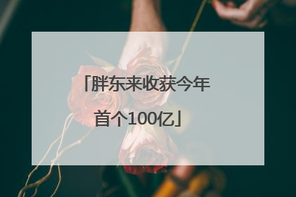 胖东来收获今年首个100亿