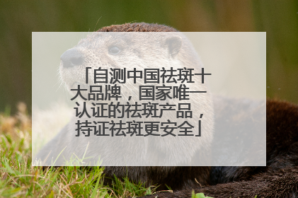 自测中国祛斑十大品牌，国家唯一认证的祛斑产品，持证祛斑更安全