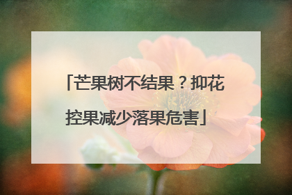 芒果树不结果？抑花控果减少落果危害