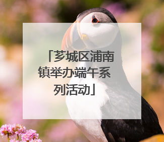 芗城区浦南镇举办端午系列活动