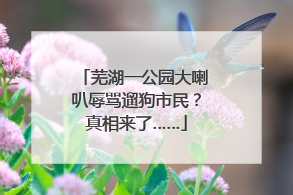 芜湖一公园大喇叭辱骂遛狗市民？真相来了……