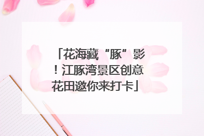 花海藏“豚”影！江豚湾景区创意花田邀你来打卡
