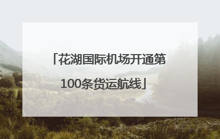 花湖国际机场开通第100条货运航线