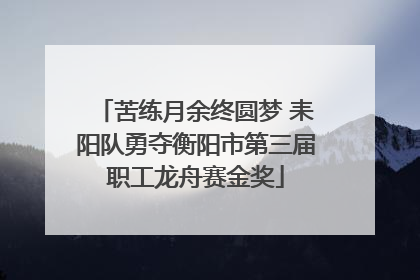 苦练月余终圆梦 耒阳队勇夺衡阳市第三届职工龙舟赛金奖