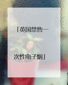 英国禁售一次性电子烟