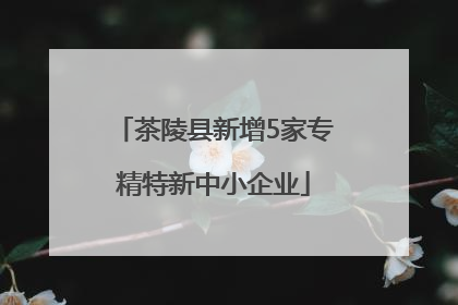 茶陵县新增5家专精特新中小企业