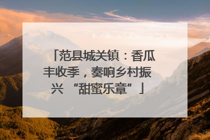 范县城关镇：香瓜丰收季，奏响乡村振兴 “甜蜜乐章”