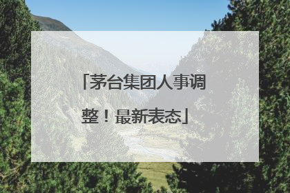 茅台集团人事调整！最新表态