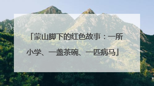 蒙山脚下的红色故事：一所小学、一盏茶碗、一匹病马