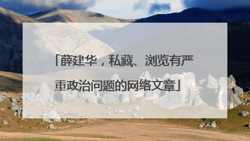 薛建华，私藏、浏览有严重政治问题的网络文章