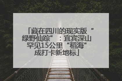 藏在四川的现实版“绿野仙踪”：宜宾深山罕见15公里“稻海”成打卡新地标