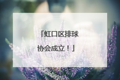 虹口区排球协会成立！