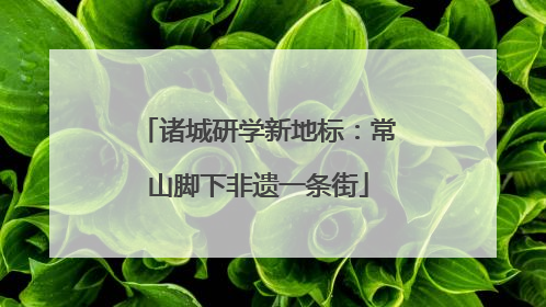 诸城研学新地标：常山脚下非遗一条街