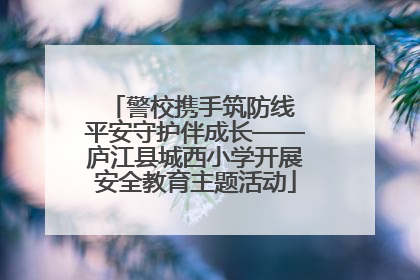 警校携手筑防线 平安守护伴成长——庐江县城西小学开展安全教育主题活动