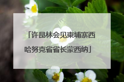 许昆林会见柬埔寨西哈努克省省长蒙西纳
