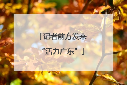 记者前方发来“活力广东”