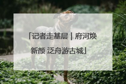 记者走基层｜府河焕新颜 泛舟游古城