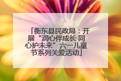 衡东县民政局：开展“润心伴成长 同心护未来”六一儿童节系列关爱活动