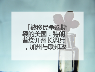 被移民争端撕裂的美国：特朗普绕开州长调兵，加州与联邦政府正面对抗